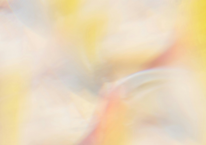 © Puchistides / Pexels